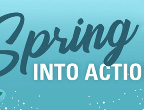 Spring Into Action 2024
